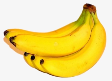 Banana Fruit Png, Transparent Png, Free Download