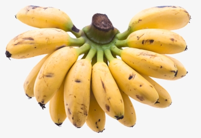 Transparent Bananas Png - Saba Banana Png, Png Download, Free Download