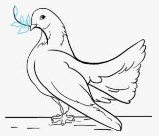 Clip Art Drawings Of Dove - Sketch, HD Png Download, Free Download