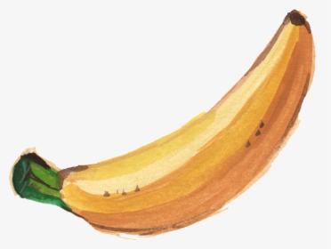 Banana Png Transparent Images - Bananawatercolor Png, Png Download, Free Download