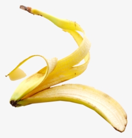 Peeled Bananas Png - Banana Peel Transparent Background, Png Download, Free Download