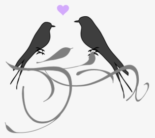 Love Birds Svg Clip Arts - Wedding Clipart Love Bird, HD Png Download, Free Download