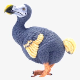 Dodo Bird Png - - Dodo Bird Png, Transparent Png, Free Download