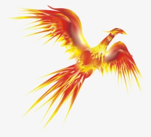 Phoenix Bird Png, Transparent Png, Free Download