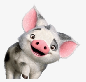 Pua Moana - Pua Moana Png, Transparent Png, Free Download