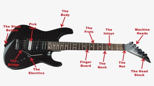 Anatomy Of The Guitar - Electric Guitar Parts Names, HD Png Download, Free Download