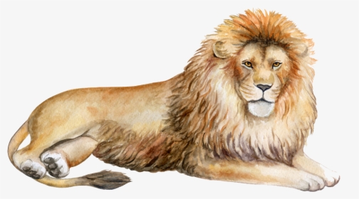 Transparent Lion Png - Löwe Aquarell, Png Download, Free Download