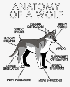 Anatomy Of A Furry, HD Png Download, Free Download