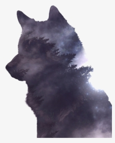 Wolf Photoshop, HD Png Download, Free Download