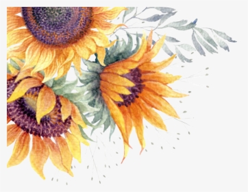 Common Sunflower Clip Art Image Watercolor Painting - Transparent Background Sunflower Png, Png Download, Free Download