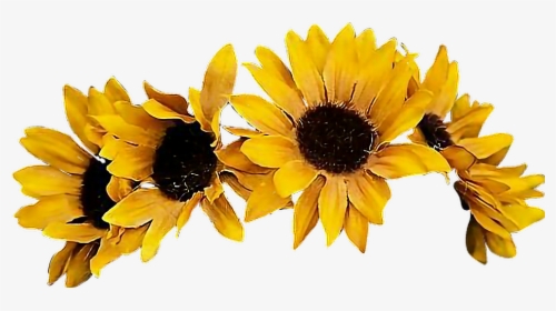 Transparent Flower Crown Yellow, HD Png Download, Free Download