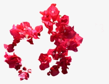 Transparent Purple Flower Crown Tumblr - Transparent Red Flower Png, Png Download, Free Download