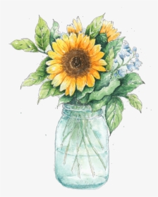 Drawn Mason Jar Sunflower Png - Sunflower In Mason Jar, Transparent Png, Free Download