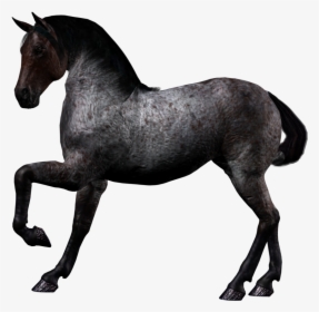 Horse Png Image - Black Horse Png, Transparent Png, Free Download