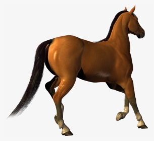 Horse Png Image, Free Download Picture, Transparent - Horses Png, Png Download, Free Download