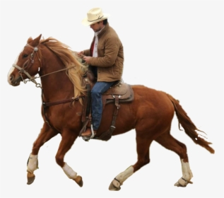 Transparent Cowgirl On Horse Clipart - Guy Riding A Horse, HD Png Download, Free Download