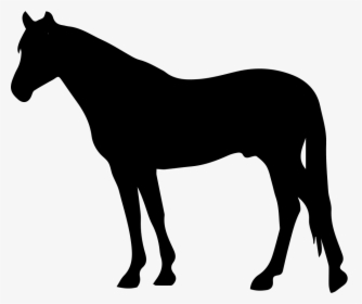 Transparent Cowboy And Horse Clipart - Horse Silhouette Clipart, HD Png Download, Free Download