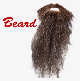 Beard Png Picture - Lace Wig, Transparent Png, Free Download