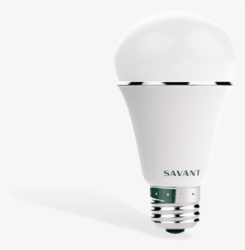Smart Bulb A19 Color 4-pack Wave Electronics - Savant Light, HD Png Download, Free Download