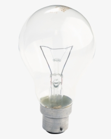 Electric Lamp Png Image - Incandescent Light Bulb, Transparent Png, Free Download
