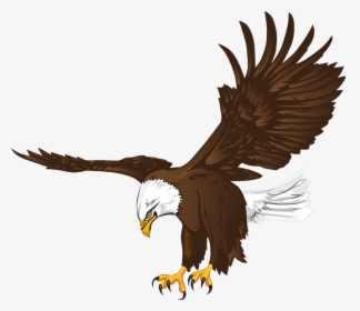 High School Eagle Logo, HD Png Download, Free Download