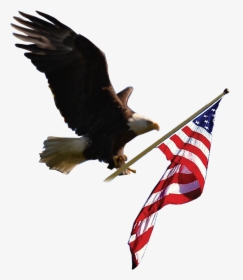 Usa Eagle Png - Eagle Carrying An American Flag, Transparent Png, Free Download