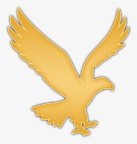 Golden Eagles Png Logo - Eagle Logo No Background, Transparent Png, Free Download