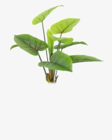 Houseplant - Green Plant Leaf Transparent Background, HD Png Download, Free Download