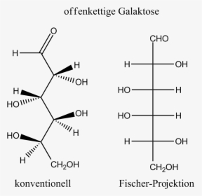 Galactose Open Chain, HD Png Download, Free Download