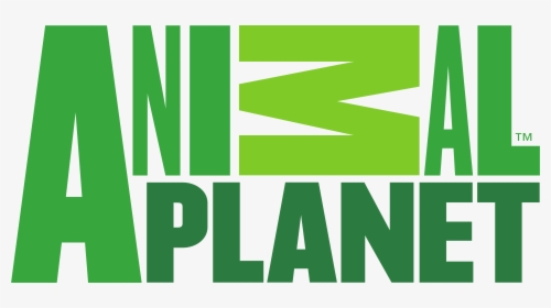 Animal Planet Channel Logo, Green - Animal Planet Logo Png, Transparent Png, Free Download