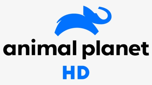 Animal Planet Png - Animal Planet Logo 2019, Transparent Png, Free Download
