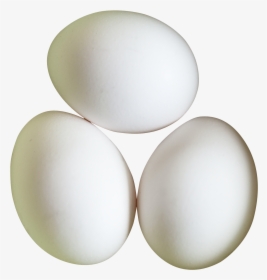 Eggs Png Download - White Eggs Png, Transparent Png, Free Download