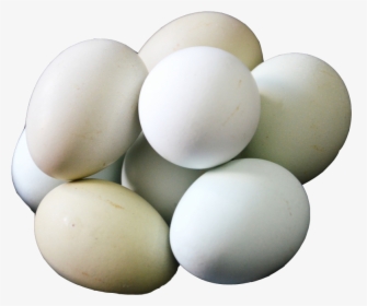 Salted Duck Egg Egg White - Duck Egg Png, Transparent Png, Free Download