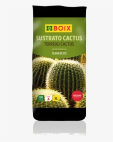 Hedgehog Cactus, HD Png Download, Free Download