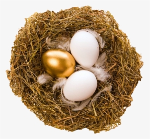 Egg - Nest Of Egg Transparent, HD Png Download, Free Download