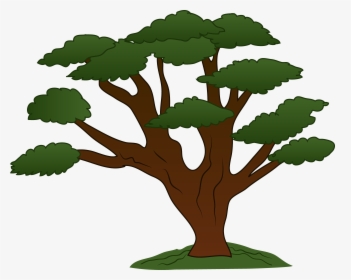 Trees Family Tree Clipart Free Clipart Images Cliparting - Big Trees Clip Art, HD Png Download, Free Download