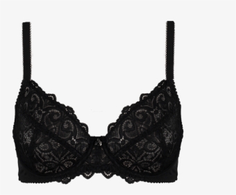 Lace Bra Png, Transparent Png, Free Download