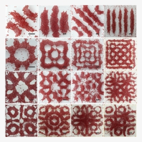 Assembly Of Microscale Materials On Faraday Waves, HD Png Download, Free Download