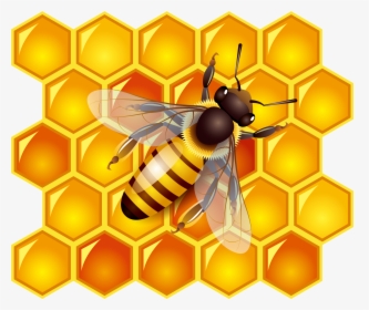 Bees Transparent Honey Australian Png Free Stock - Honey Bee Honey Png, Png Download, Free Download