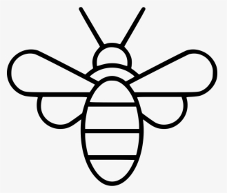 Bee, HD Png Download, Free Download