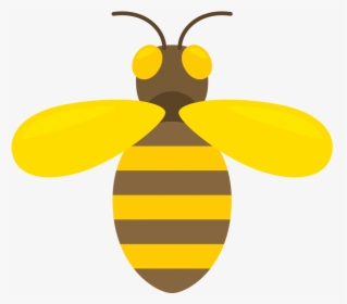 Honey Bee Infographic Png, Transparent Png, Free Download