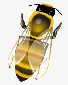 Bee Png Clip Art - Illustration, Transparent Png, Free Download