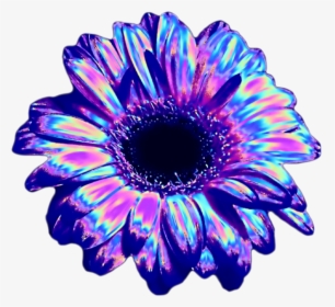 Transparent Vaporwave Transparent Png - Transparent Vaporwave Flower Png, Png Download, Free Download