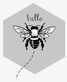 Hello-bee - Clip Art Bee Black And White, HD Png Download, Free Download