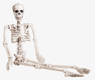 Skeleton Png - Sitting Skeleton Png, Transparent Png, Free Download