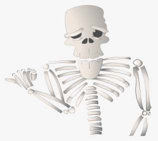 Cartoon Skeleton Clip Arts - Cartoon Skeleton Pointing Transparent, HD Png Download, Free Download