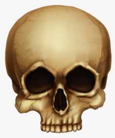 Bone - Png Images With Transparent Background Skull, Png Download, Free Download