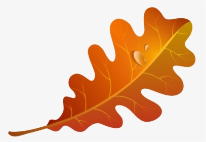 Fall Leaves Png Image - Autumn Leaves Clipart, Transparent Png, Free Download