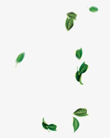 Leaf Green Tree - Falling Leaves Green Png, Transparent Png, Free Download