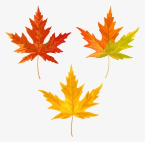 Download Orange Fall Leaves Clipart Png Photo - Transparent Background Fall Leaves Clipart, Png Download, Free Download